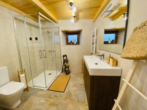 a bathroom with a shower and a toilet and a sink at Casa Neto Goje in San Tirso de Abres