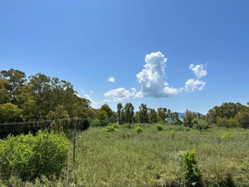 Naturlandskabet i nærheden af lejligheden