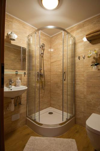 a bathroom with a shower and a toilet and a sink at Dom Pod Jeleniem in Łeba