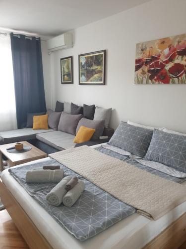 ein Wohnzimmer mit einem Bett und einem Sofa in der Unterkunft Despot Apartmani Niš in Niš