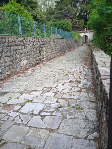 a stone path next to a stone wall at Apartments Pavic in Risan