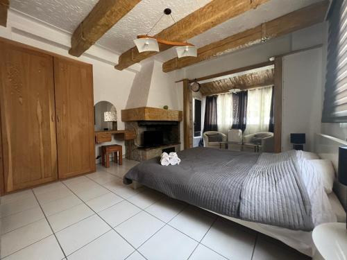 ein Schlafzimmer mit einem Bett und einem Kamin in der Unterkunft Quietude villa in Biot