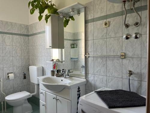 een badkamer met een wastafel, een toilet en een douche bij Annamaria Home in Pula
