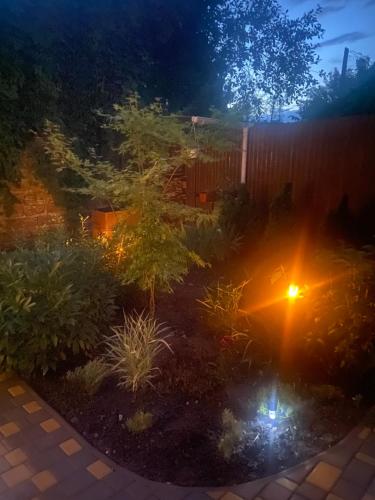 a garden at night with lights in the yard at Дом для отдыха на Фонтане in Odesa