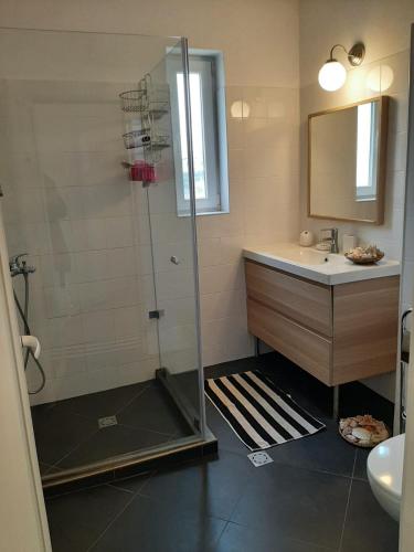 a bathroom with a shower and a sink at Port Lozenets Apartment in Lozenets