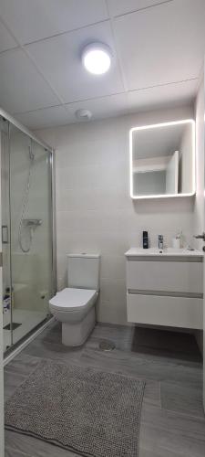 卡塔赫納的住宿－Vista de Flamencos，浴室配有卫生间、淋浴和盥洗盆。