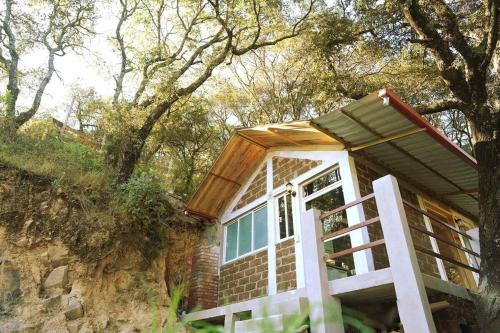 une petite maison assise sur une colline à côté d'un arbre dans l'établissement Cabaña El Encino II En Real del Monte, à Mineral del Monte
