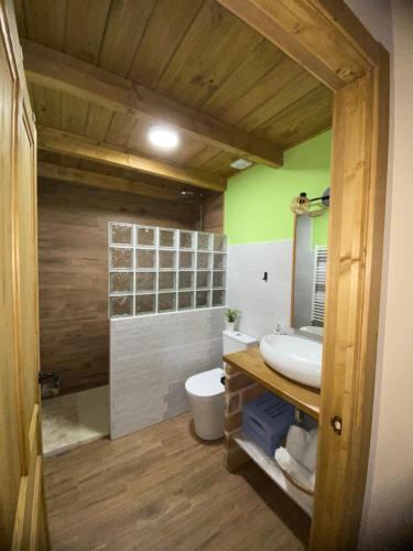 baño con lavabo, aseo y paredes verdes en Casa Sierra de Gata - Apartamento Rural, 