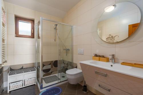 Nova Vas的住宿－Villa Lori，带淋浴、卫生间和盥洗盆的浴室