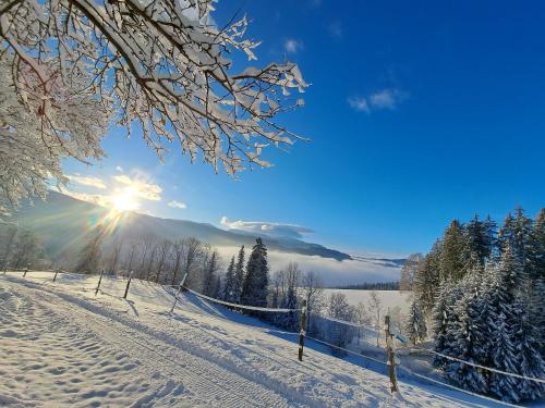 a snow covered field with the sun in the sky at Erlebnisbauernhof Gutschi Ranch in Kamp