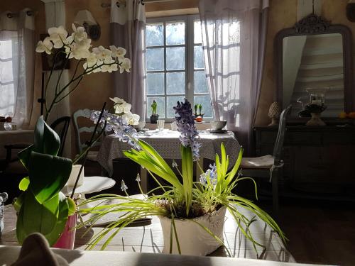 a room with a table with plants and a mirror at Le jardin de Saint Jean in Saint-Jean-aux-Bois