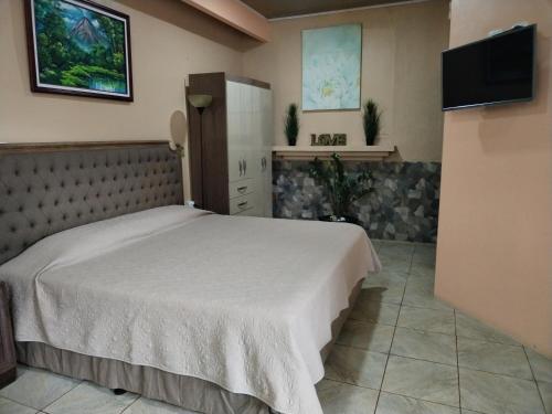 a bedroom with a bed and a flat screen tv at Arenal Memories. in Fortuna