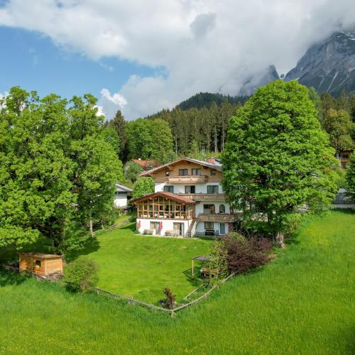 a house on a grassy hill with a tree at Pension Hofweyer in Ramsau am Dachstein