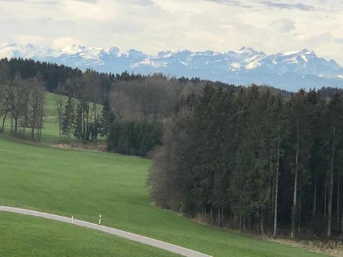 a green field with a road and mountains in the background at Adam & Eva Gasthof Paradies mit Hotel in Vogt