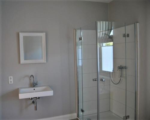 a bathroom with a shower and a sink at Villa Baltica - Wintergarten-Appartement in Schönberg in Holstein