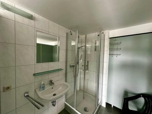 a bathroom with a shower and a sink at Auszeit im Wald direkt am See in Schleiz