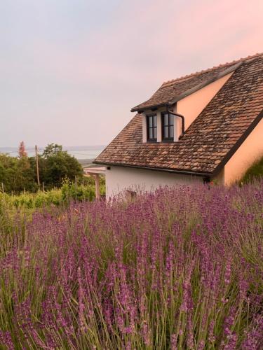 a house in the middle of a field of purple flowers at Nagykulcsos Nyúlontúl in Mencshely