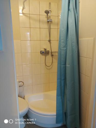 a bathroom with a toilet and a shower with a shower curtain at Konik Bar i Pokoje Gościnne in Kadyny