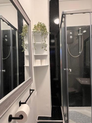 W łazience znajduje się prysznic i papier toaletowy. w obiekcie Sandy Toes : Relaxing Contemporary Victorian Apartment 10 mins to Beach w mieście Torquay