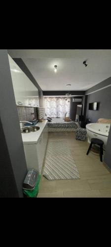 a kitchen and living room with a sink and a table at Apartmani 2 SS with jacuzzi bath in Ohrid