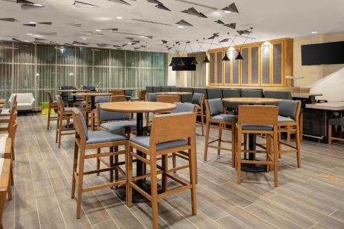 TownePlace Suites by Marriott Orlando Airport photo 18