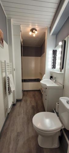 a bathroom with a toilet and a sink at Des Histoires d'Anges - Côté Ville - 2 meublés classés - Accueil Vélo in Tournus