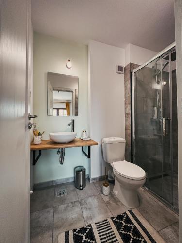 a bathroom with a toilet and a sink and a shower at Pensiunea Oacheș in Sălaşu de Sus