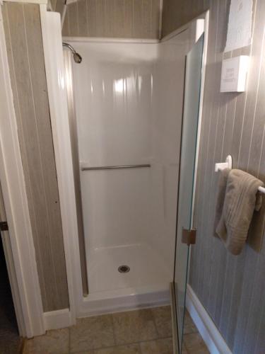 a shower with a glass door in a bathroom at Splendor Inn Bed & Breakfast in Norwich