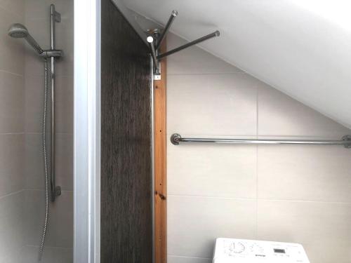 a bathroom with a shower stall and a toilet at Pod-Inn 坡顶公寓-文化谷仓 in Kuppenheim