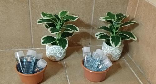 three potted plants sitting on a tiled wall at Mountainside in Vounoplagiá