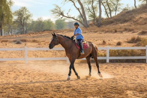 a person riding a horse on a dirt track at The Ritz-Carlton Ras Al Khaimah, Al Wadi Desert in Ras al Khaimah