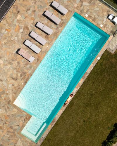 an overhead view of a swimming pool with a dog in it at Bella Resorts Andros in Andros