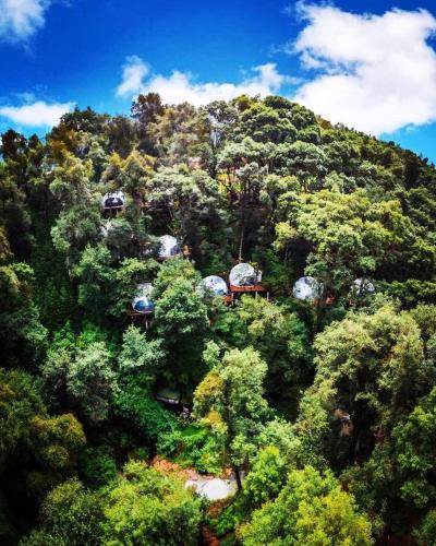 a hill covered in trees with houses on it at MANDALA CAMP in Tomatlán