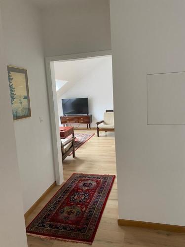 um corredor com uma sala de estar com um tapete em Spacious app/Antwerp city center #003 em Antuérpia