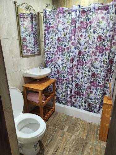 een badkamer met een toilet en een douchegordijn bij Posadas Amanbay Depto in Posadas