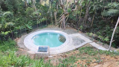 a small swimming pool in the middle of a forest at Estancias Arroyazo in Constanza