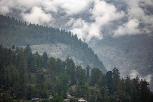a view of a mountain with clouds and trees at The Kamru Riverside Camps and Resorts in Sāngla