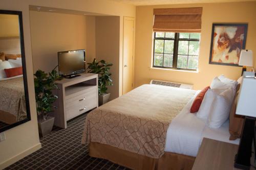 ウィリアムズバーグにあるPatriots Innのベッドとテレビが備わるホテルルームです。