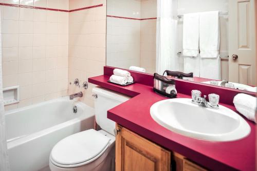 埃斯蒂斯帕克的住宿－古岩石小屋鑽石度假村，浴室配有盥洗盆、卫生间和浴缸。