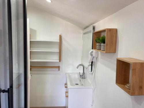 une petite salle de bain avec un lavabo et une douche dans l'établissement Charmant appart rénové pour 6, à 5 min de la plage et du centre, avec parking - Trouville - FR-1-712-65, à Touques