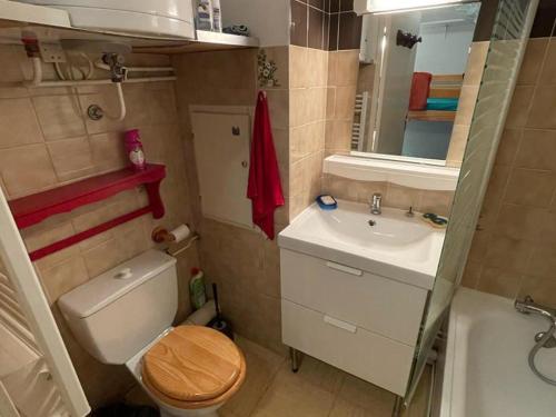 une petite salle de bain avec toilettes et lavabo dans l'établissement Charmant studio rénové aux Molanès - Balcon, parking privé, proche télécabine et navette - FR-1-165A-177, à Uvernet
