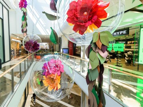 a display of flowers in glass bowls in a store at Private Bath Ensuite Room Eastwood/MQ Uni park in Sydney