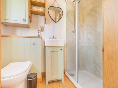 a bathroom with a shower and a toilet and a sink at The Wensleydale - Uk40152 in Rathmell