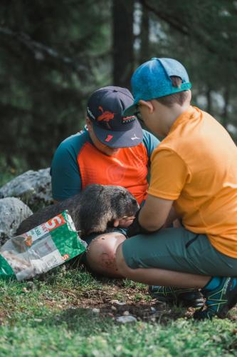 two young boys playing with a bear on the ground at Bergzauber View in Ramsau am Dachstein