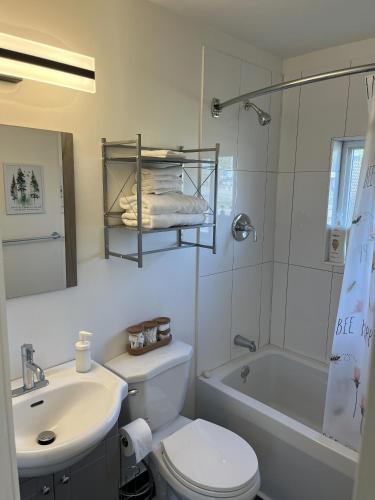 a bathroom with a toilet and a sink and a tub at Casa Di Nonna in Wasaga Beach