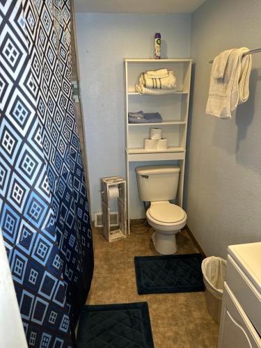 uma pequena casa de banho com WC e chuveiro em Beautiful SLC apartment in the avenues em Salt Lake City