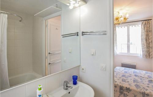 La salle de bains est pourvue d'un lavabo, d'une douche et d'un miroir. dans l'établissement Lovely Home In Deauville With Wifi, à Deauville
