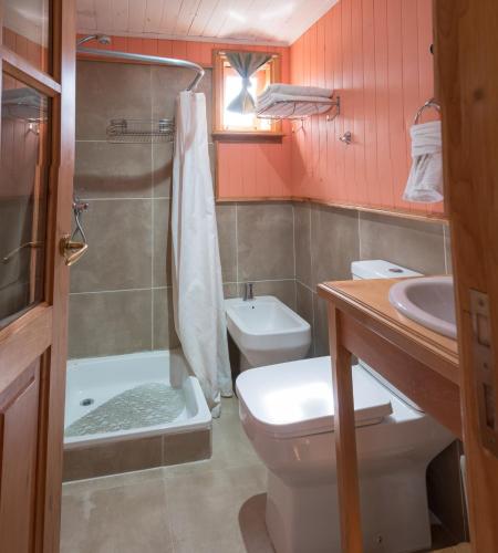 a bathroom with a toilet and a shower and a sink at Pitihué Aparts in El Chalten