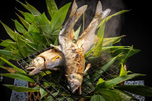 a dead fish in a basket on a plant at Hacho no Yu in Nikko