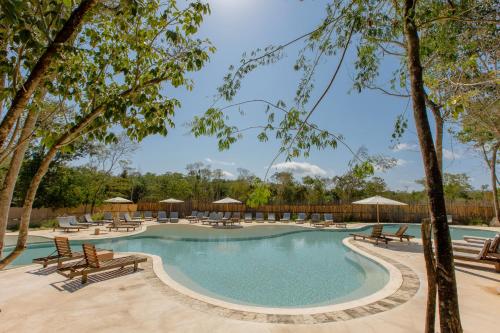 a swimming pool with chairs and trees at Lumina at The Village Luxury Residences in Corasol in Playa del Carmen